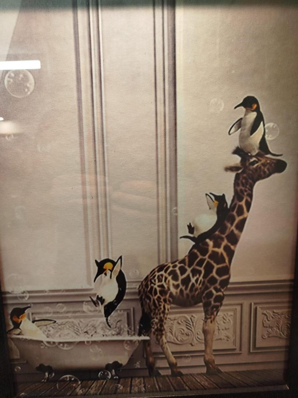 Nancy Vieille Ville Stanislas ภายนอก รูปภาพ